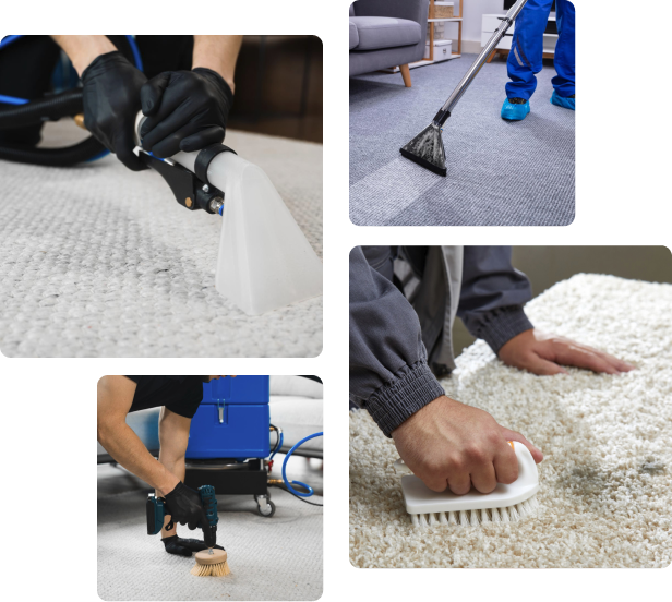 Broadbeach Carpet Cleaning team